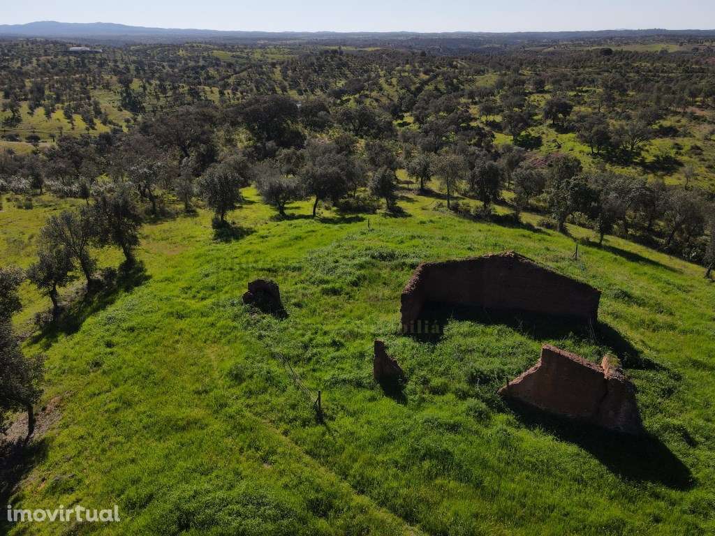 Quinta no Alentejo, com plantação de sobreiros, tudo vedado e com u... - Grande imagem: 2/60