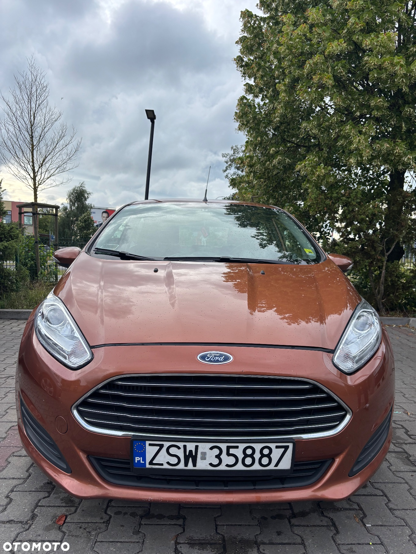 Ford Fiesta 1.6 TDCi ECOnetic Trend ASS - 7
