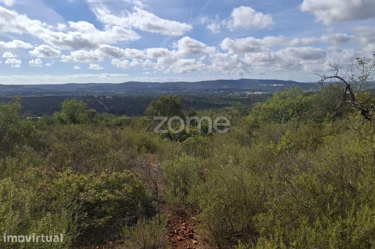 Terreno Rústico em Monte Brito com 18.390m2 - Grande imagem: 4/17