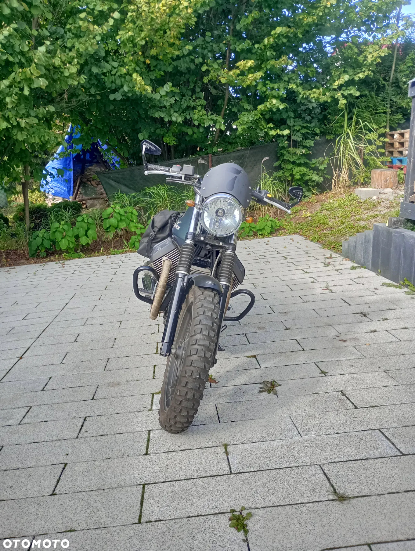 Moto Guzzi V7 - 6