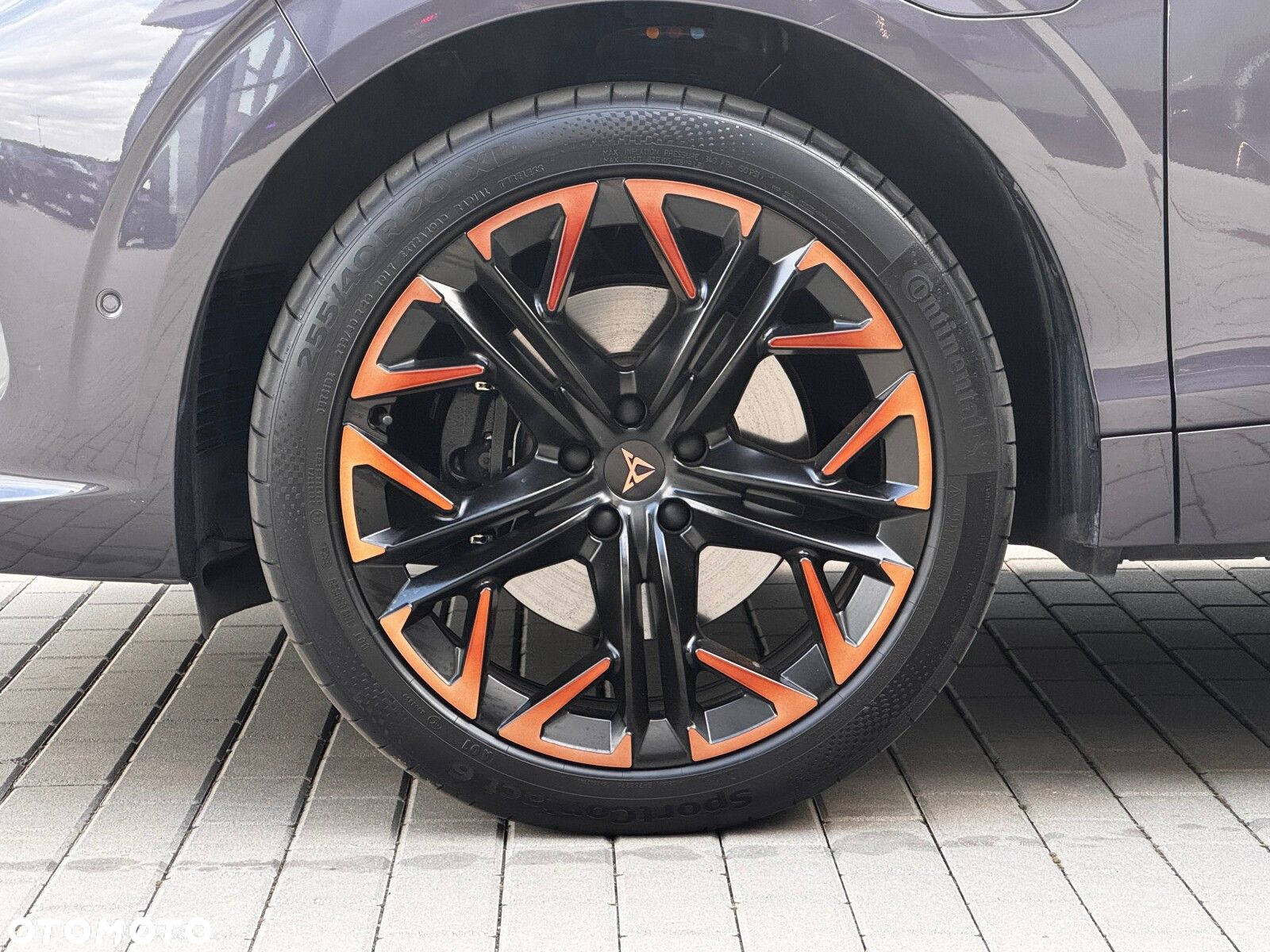 Cupra Terramar - 12