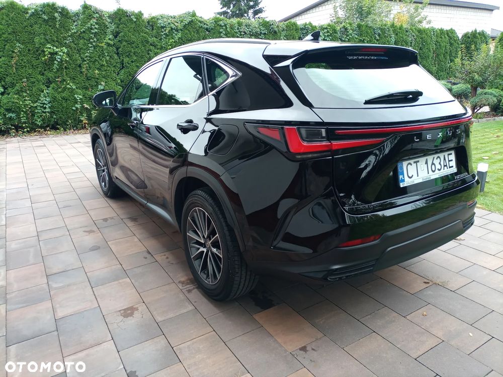 Lexus NX - 4
