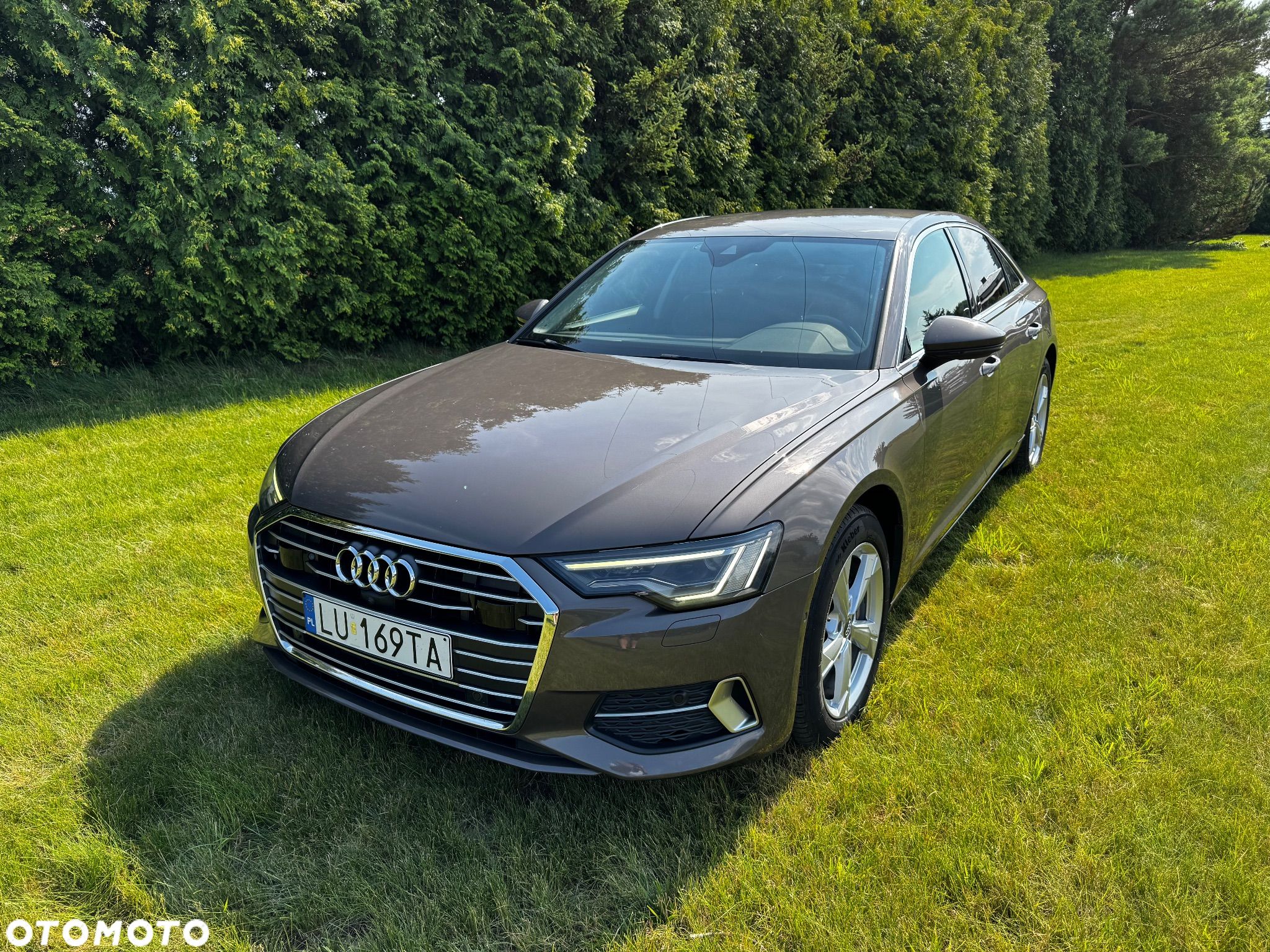 Audi A6 2.0 TDI ultra S tronic - 1