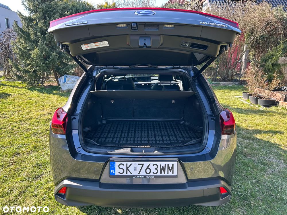 Lexus UX 250h GPF F Impression 2WD - 20