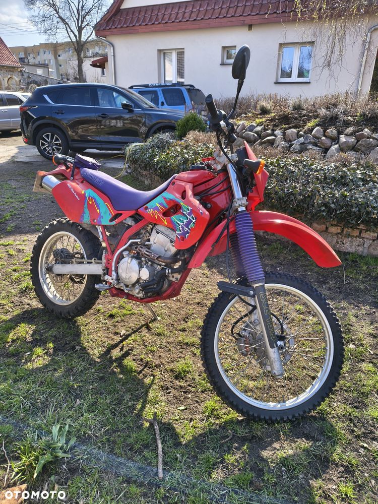 Kawasaki KLX - 11
