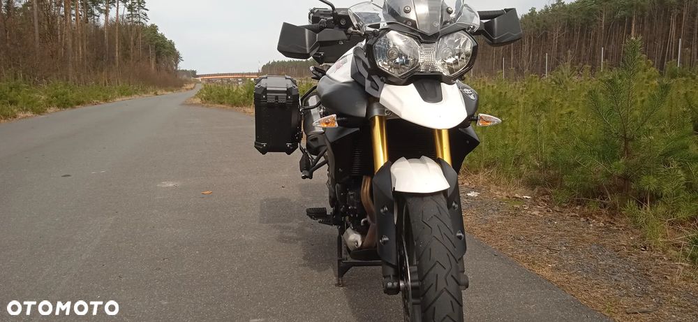 Triumph Tiger - 6