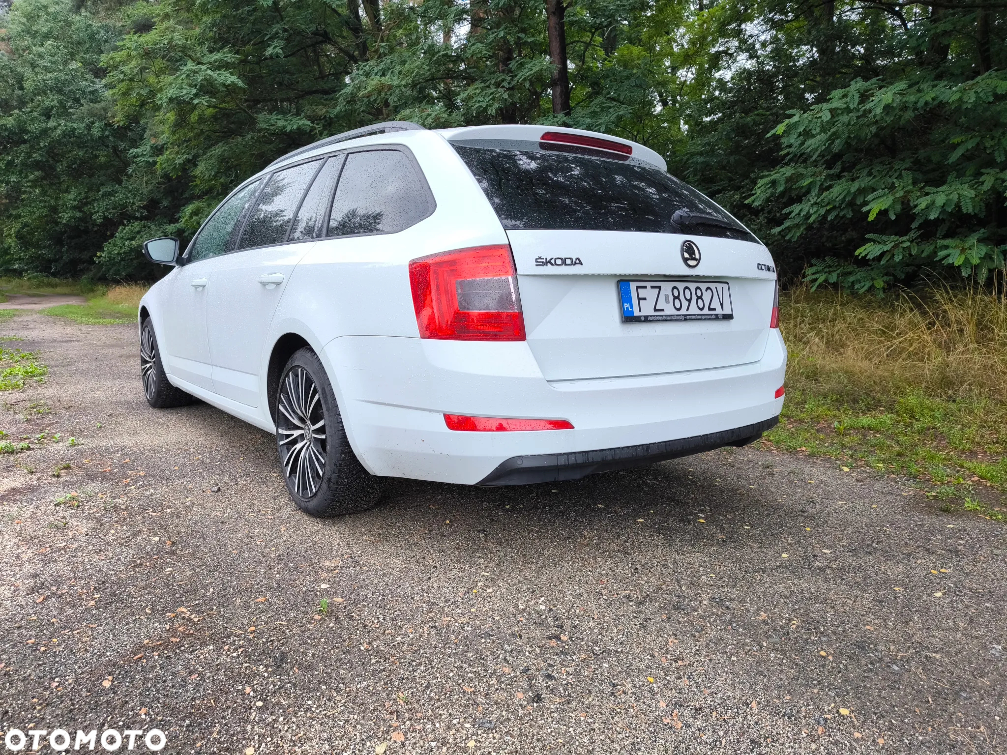 Skoda Octavia - 8