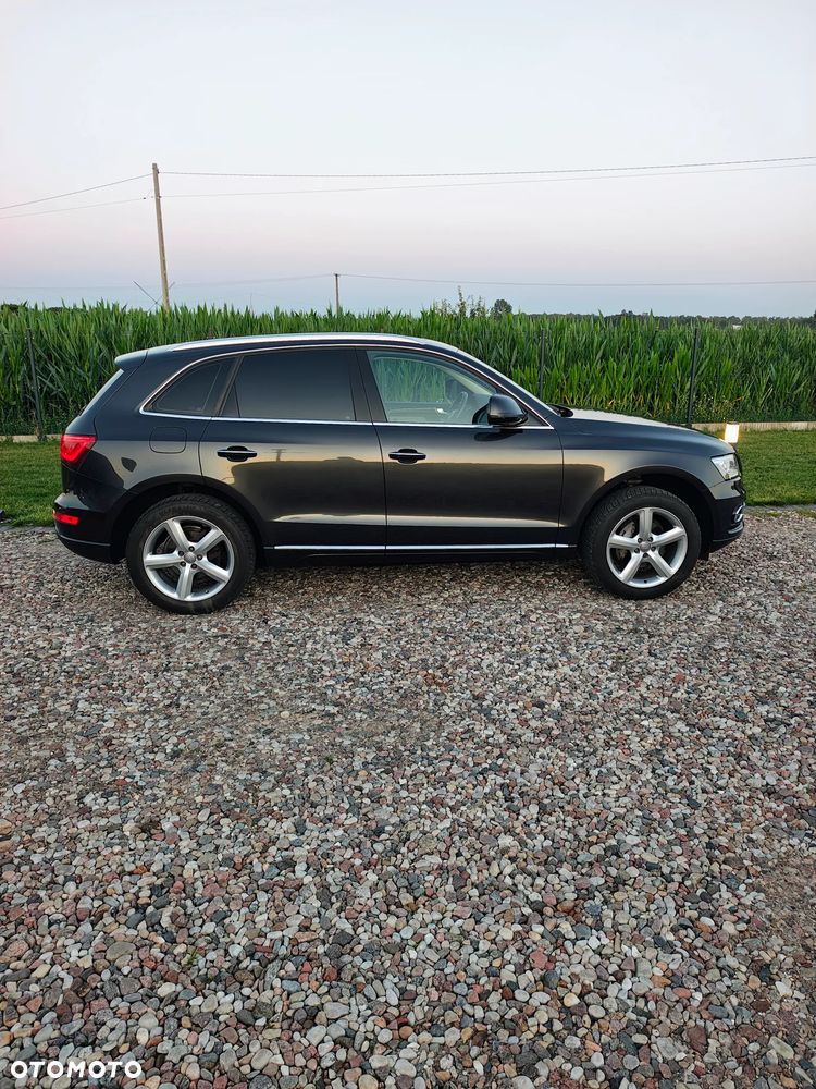 Audi Q5 - 21