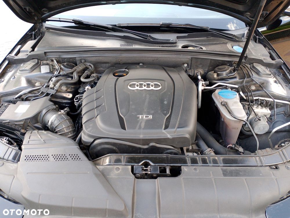 Audi Inny - 7