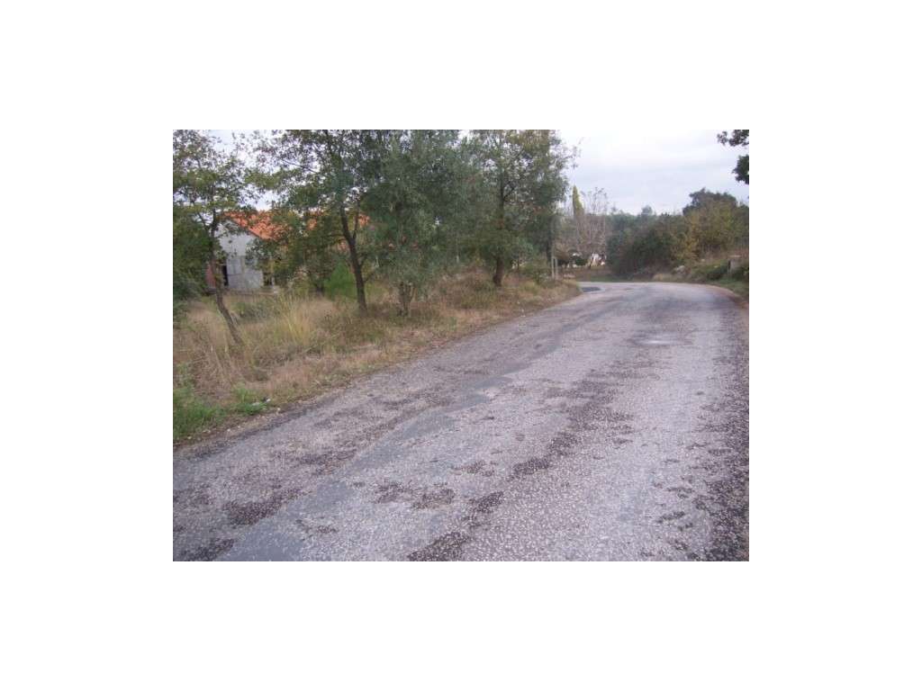 Terreno para construção Azoio -Pedreiras - Grande imagem: 4/5