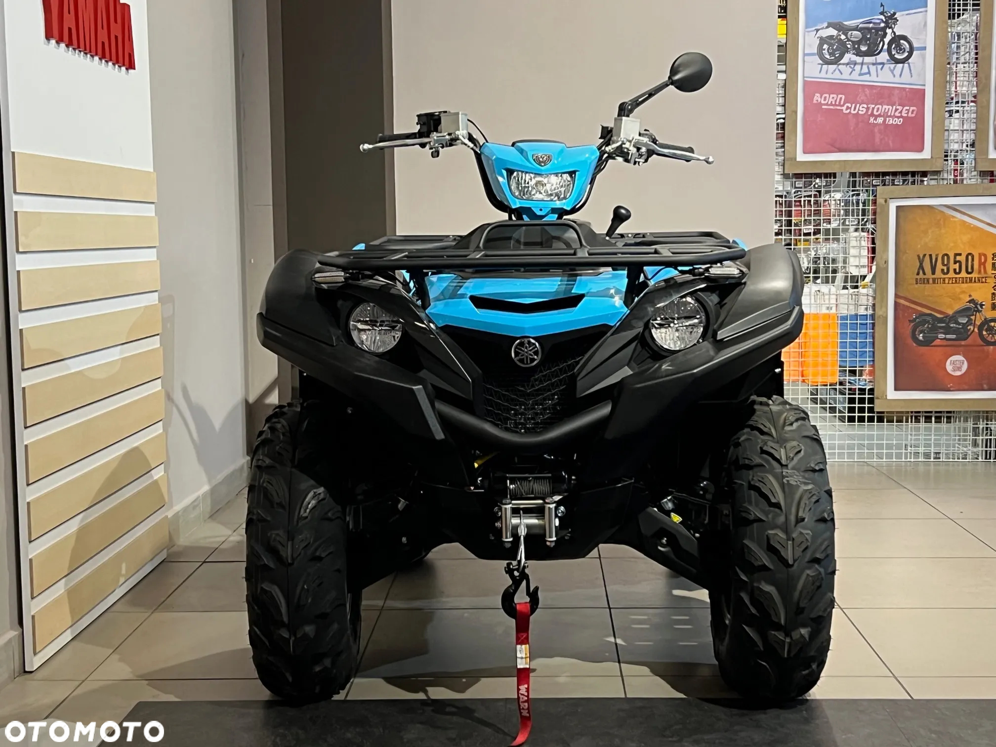 Yamaha Grizzly - 3