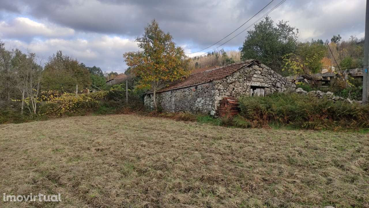Terreno  Venda em Campelo e Ovil,Baião - Grande imagem: 3/21