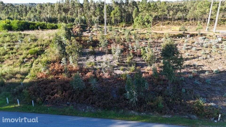 Terreno para venda em Águeda - Grande imagem: 5/9