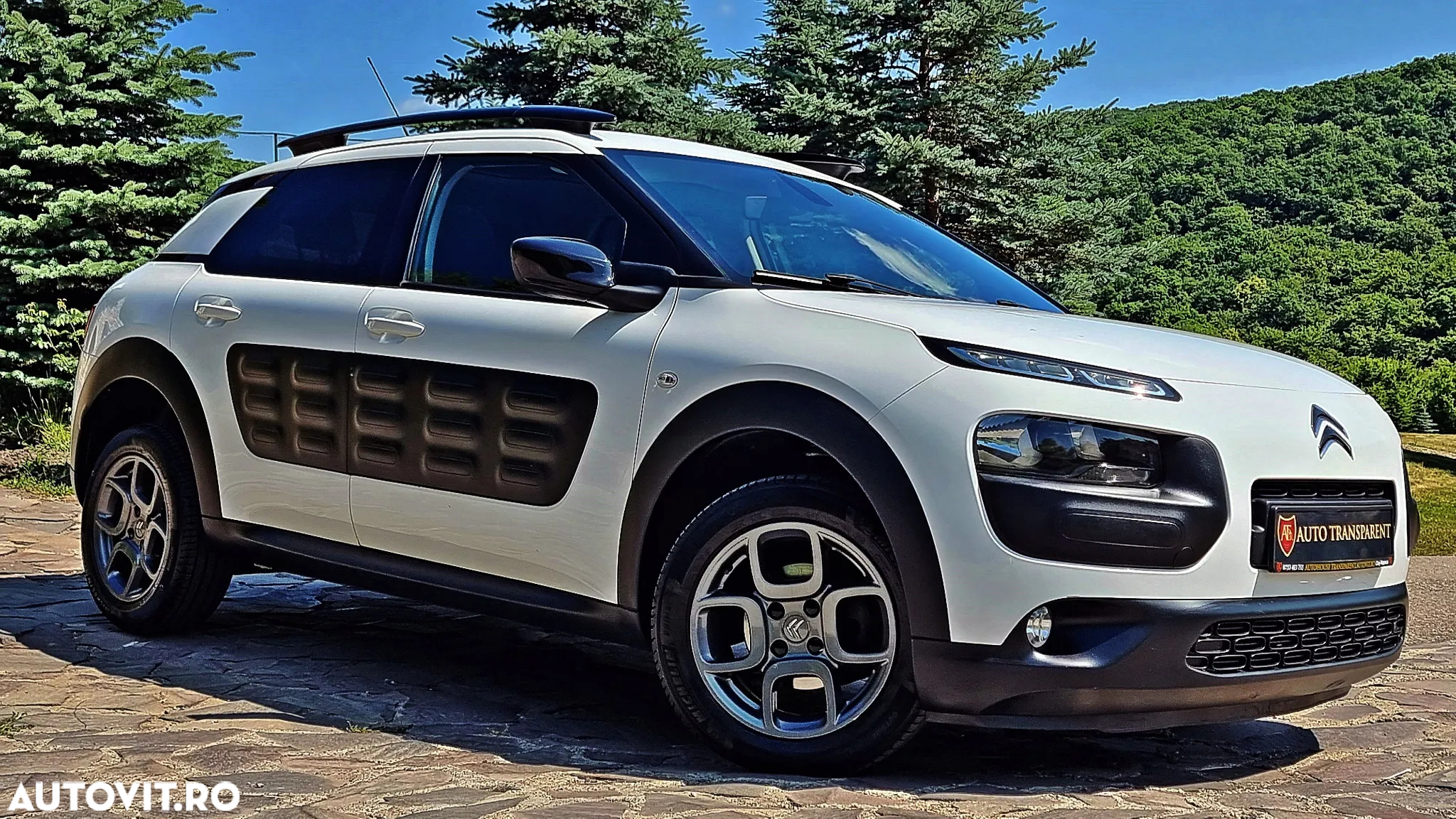 Citroën C4 Cactus Pure Tech 110 Stop&Start EAT6 Shine - 13