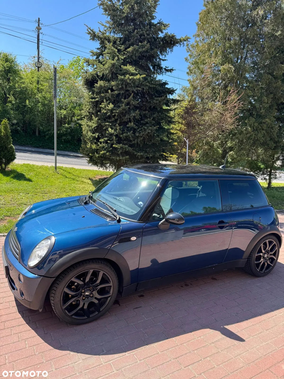 MINI Cooper Checkmate - 23