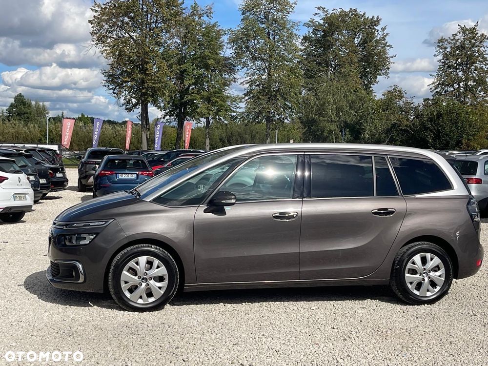 Citroën C4 Picasso BlueHDi 120 EAT6 Business Class - 11
