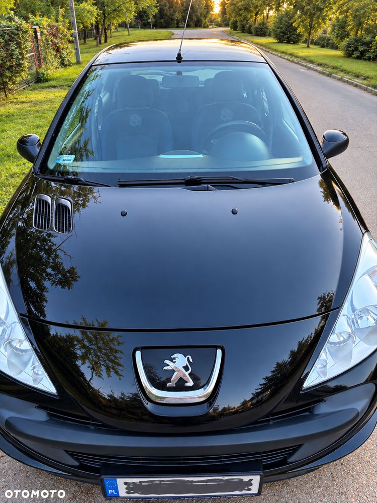 Peugeot 206 plus - 2
