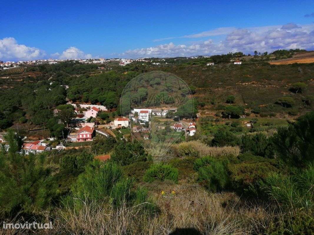 Terreno  para venda - Grande imagem: 4/6