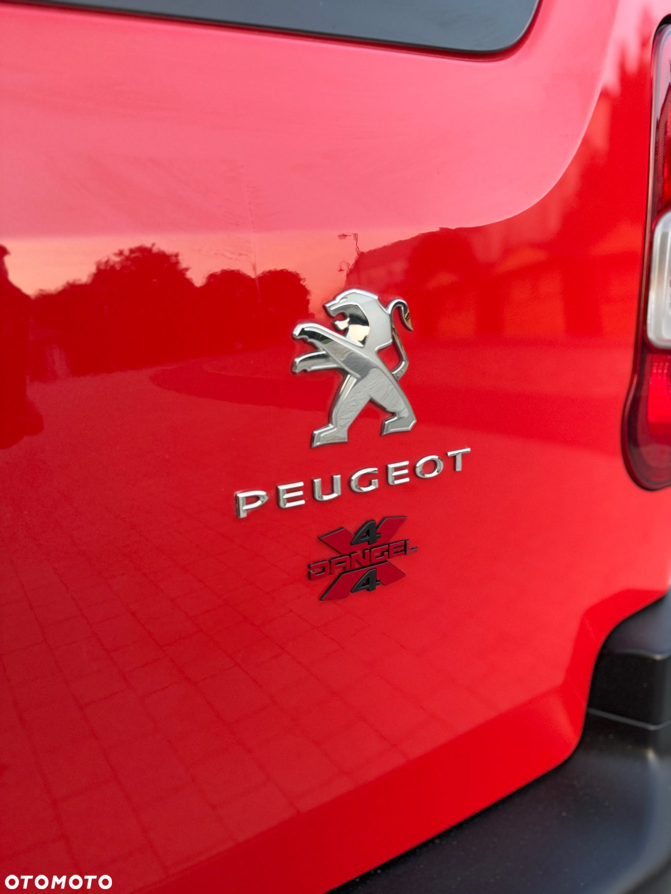 Peugeot Partner 4x4 Dangel - 7