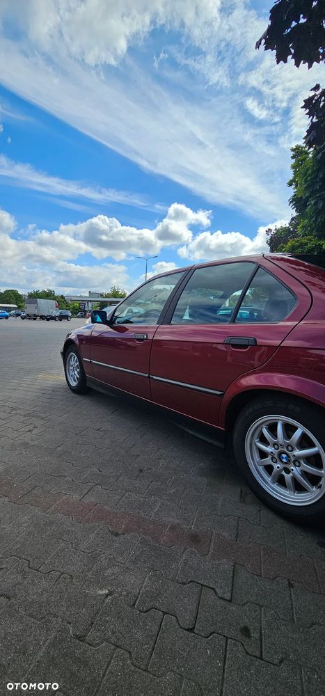 BMW Seria 3 - 10