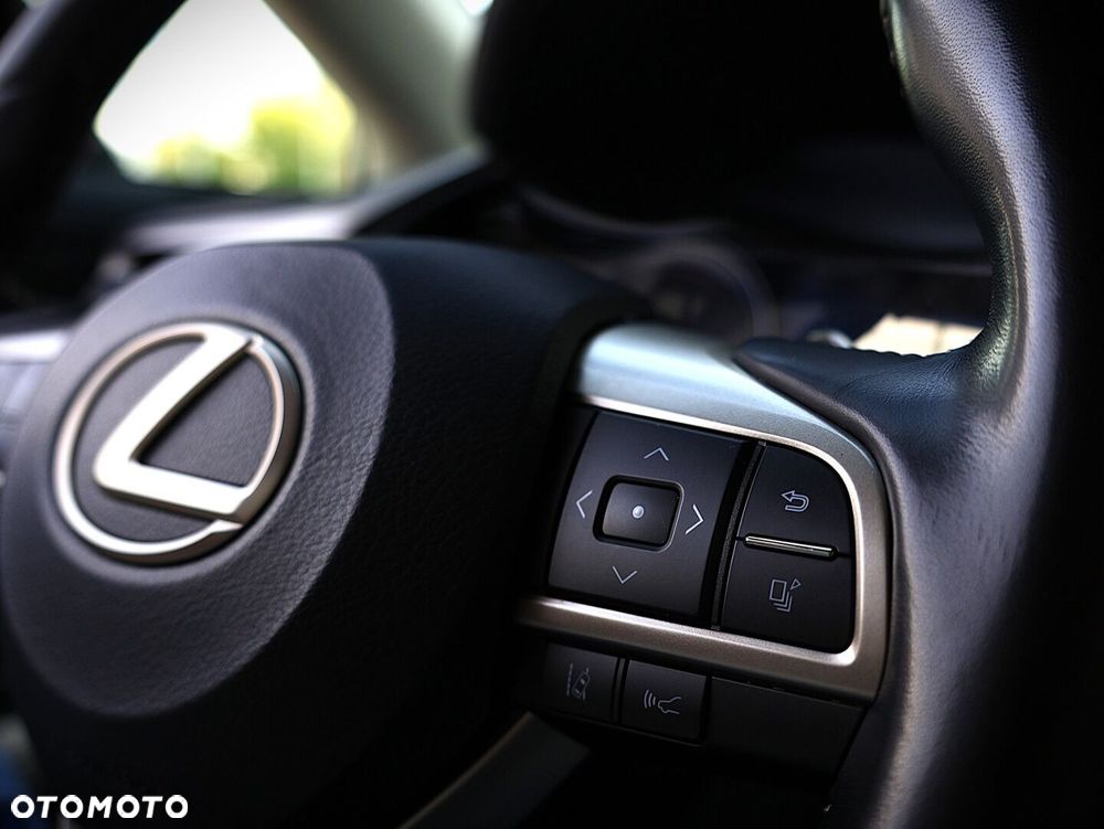 Lexus RX - 27