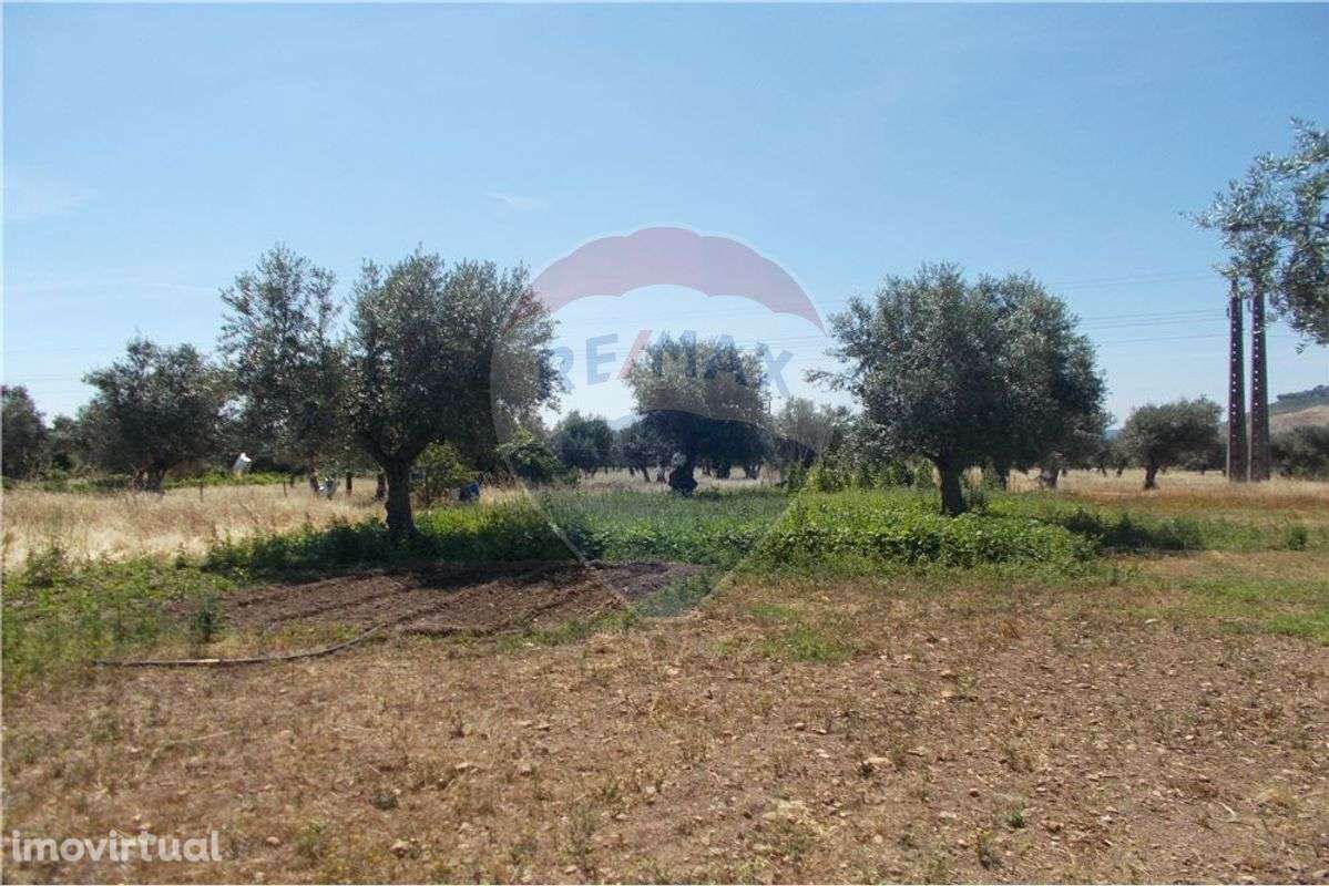 Terreno em Chainça - Grande imagem: 2/15