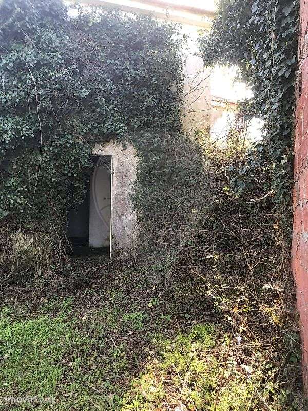 Quinta  para venda - Grande imagem: 3/19