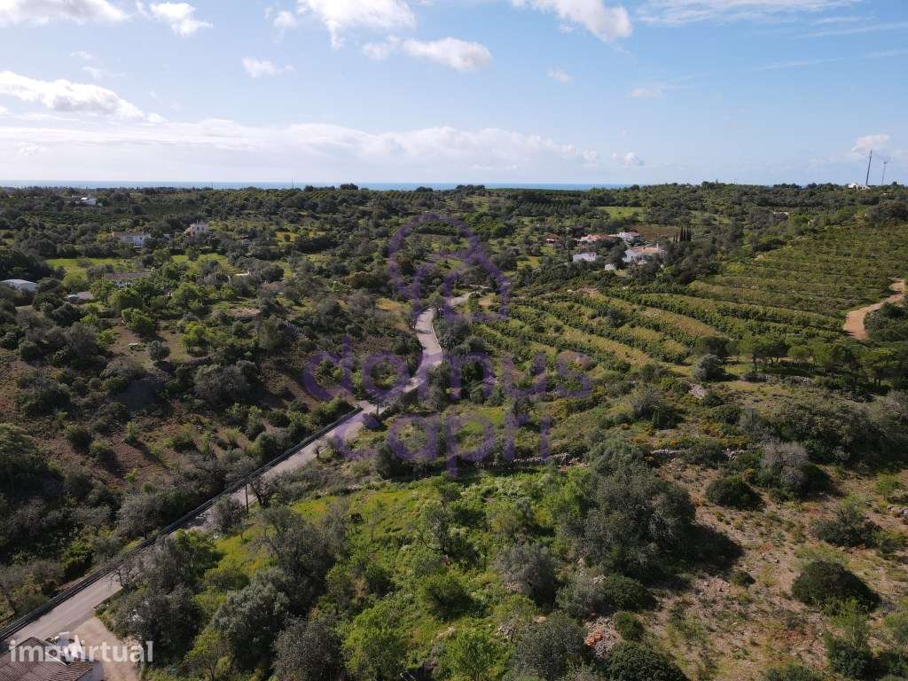 Ruína com Terreno em Asseca - Tavira - Grande imagem: 4/28