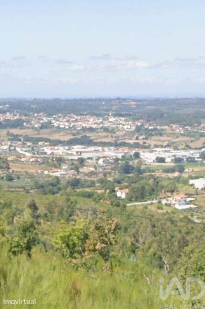 Terreno Agrícola em Seia, São Romão e Lapa dos Dinheiros - Grande imagem: 2/2