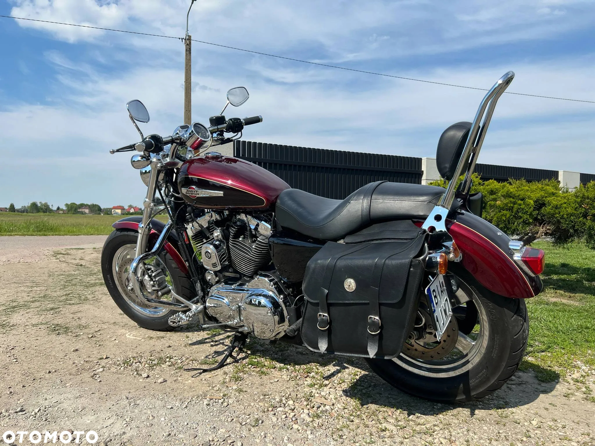 Harley-Davidson Sportster Custom 1200C - 12
