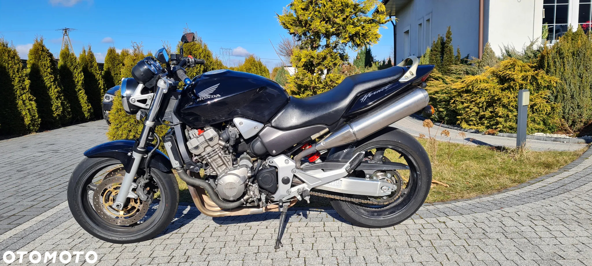 Honda Hornet - 9