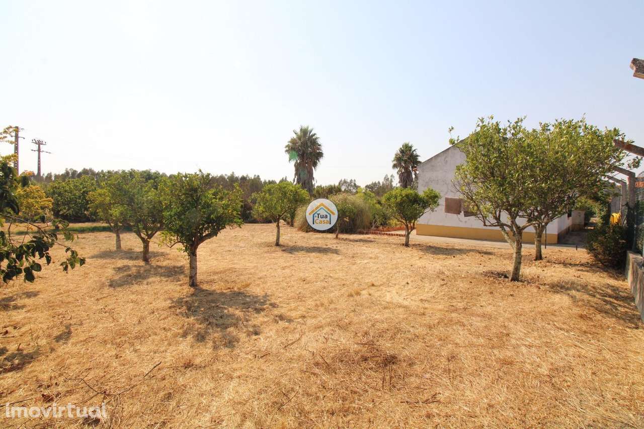 Quinta de 3050m2, Moradia T2 e Anexo 103,50m2 localizada em Foros de V - Grande imagem: 4/45