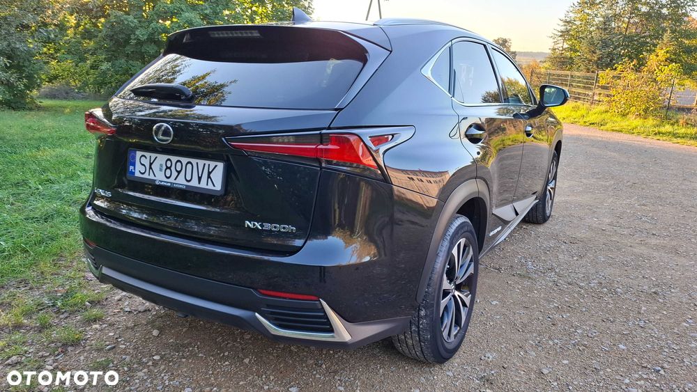 Lexus NX - 3