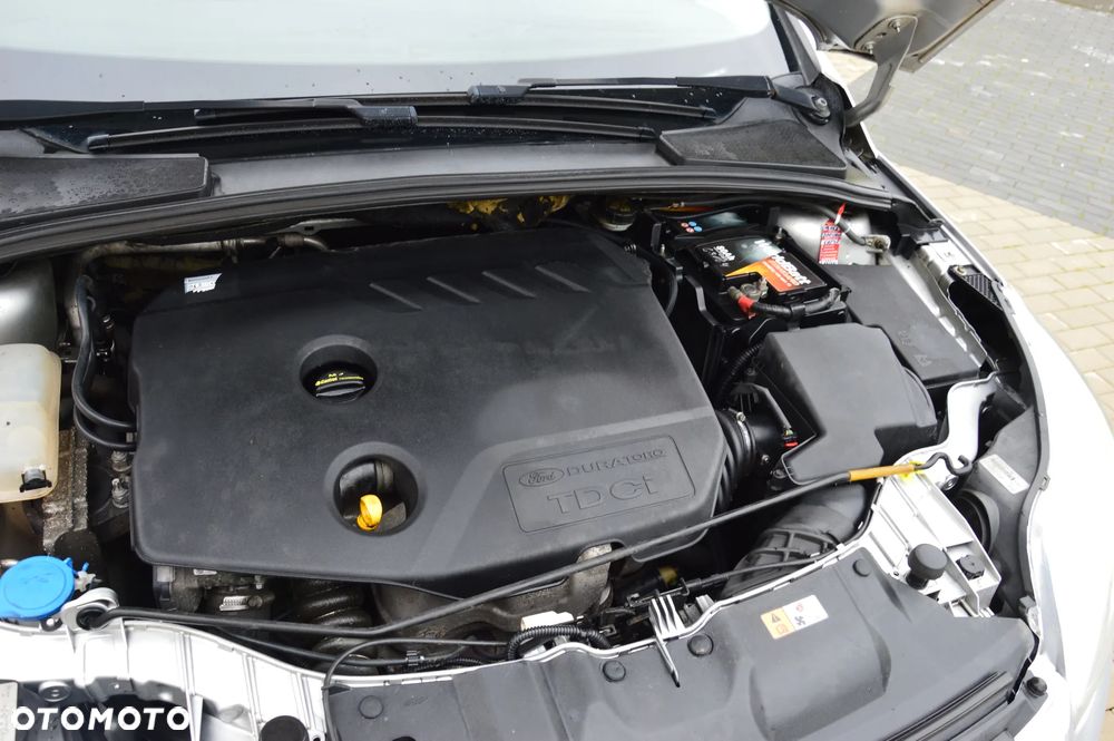 Ford Focus - 17