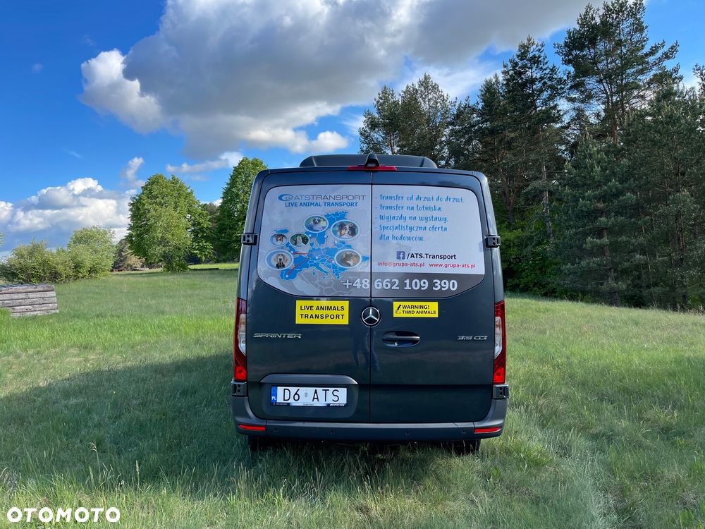 Mercedes-Benz Sprinter - 4