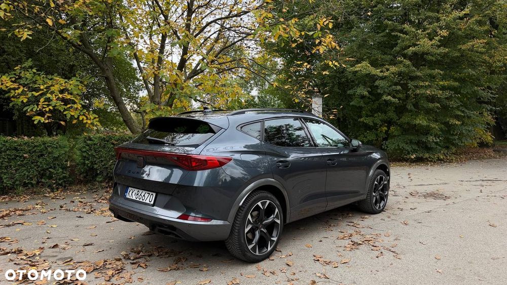 Cupra Formentor 2.0 TSI 4Drive DSG - 17