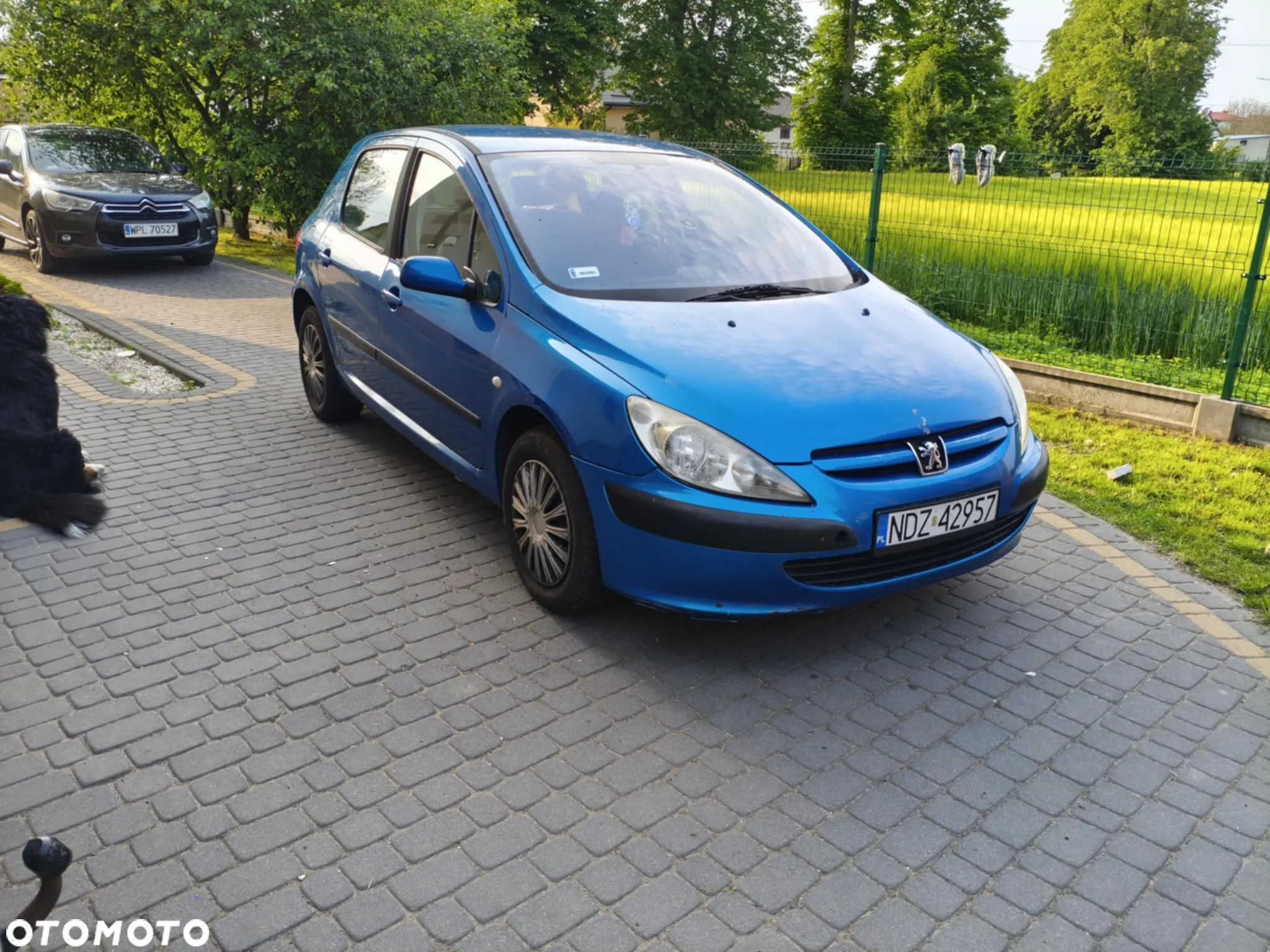 Peugeot 307 1.6 - 7