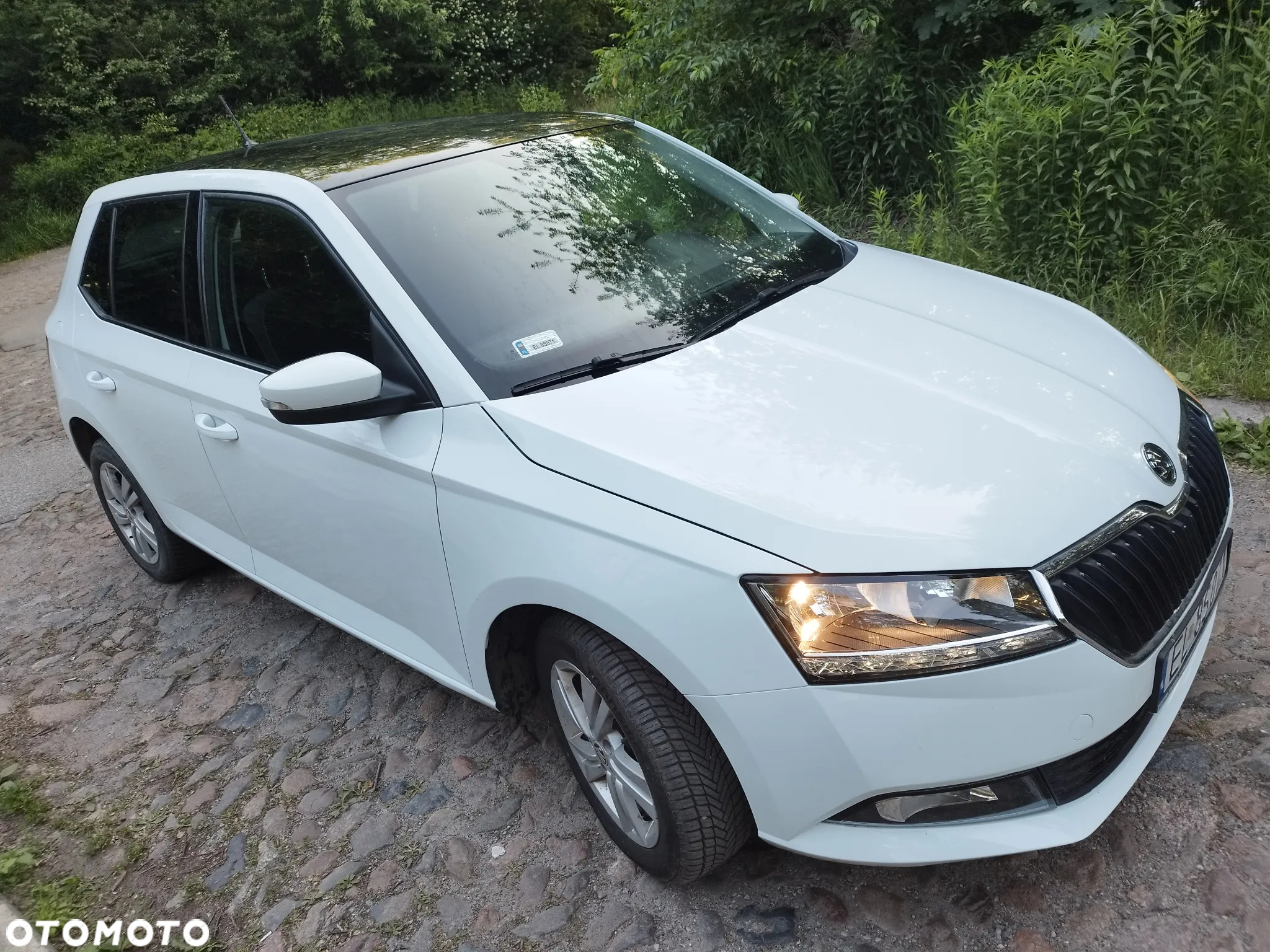 Skoda Fabia - 3