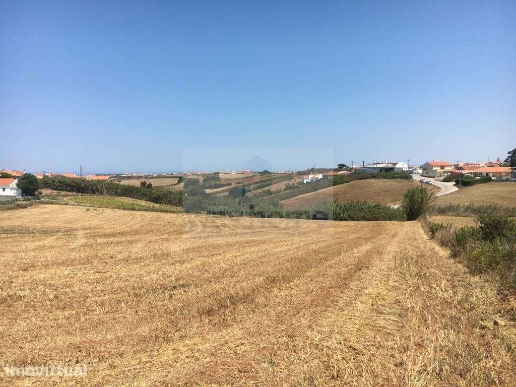 Terreno de 10.001 m2 | PIP aprovado para 2000m2 de construção - Grande imagem: 2/17