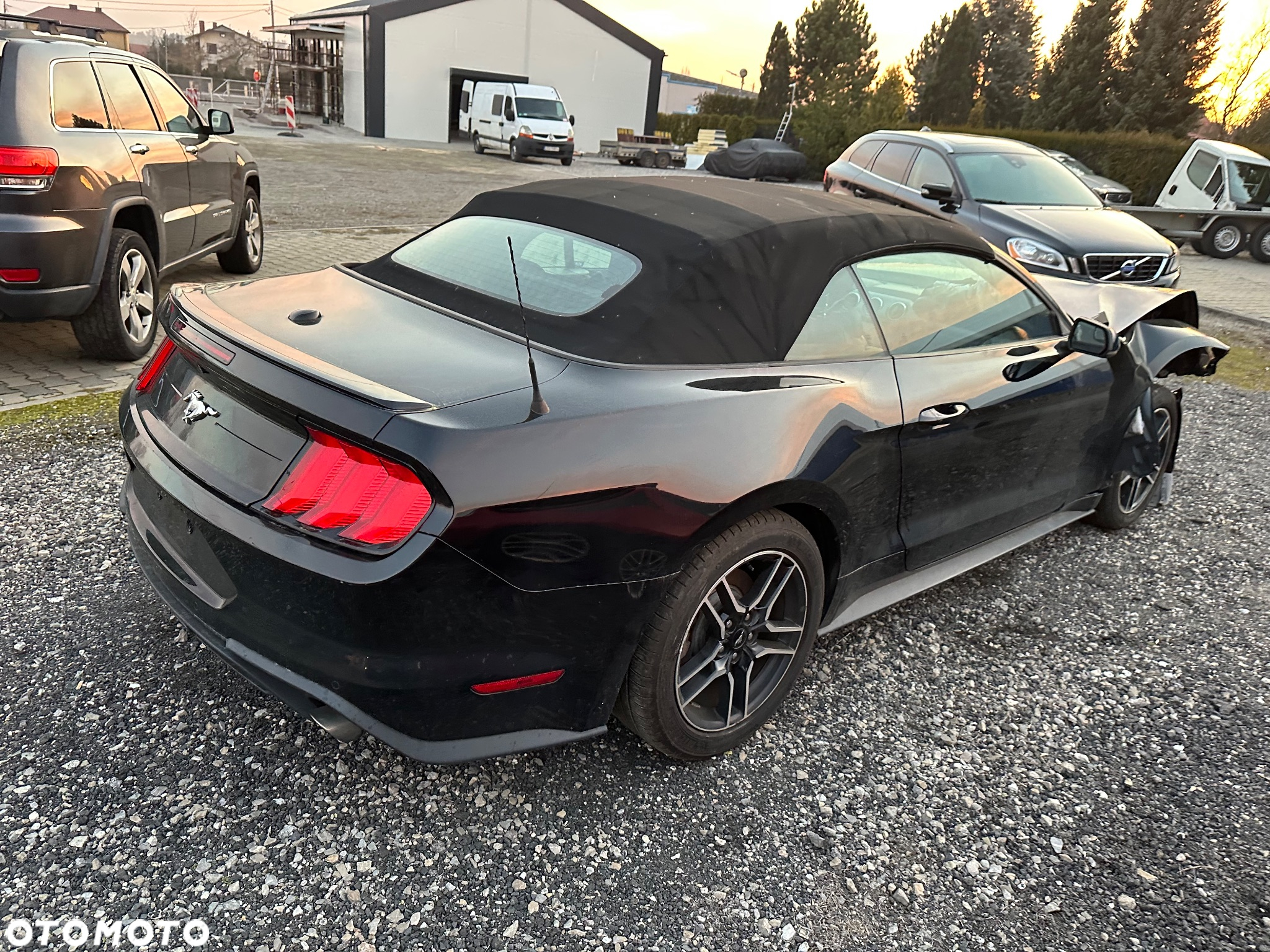 Ford Mustang Cabrio 2.3 Eco Boost - 5