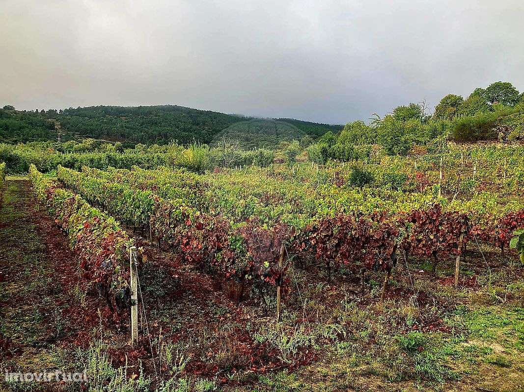 Terreno  para venda - Grande imagem: 4/11