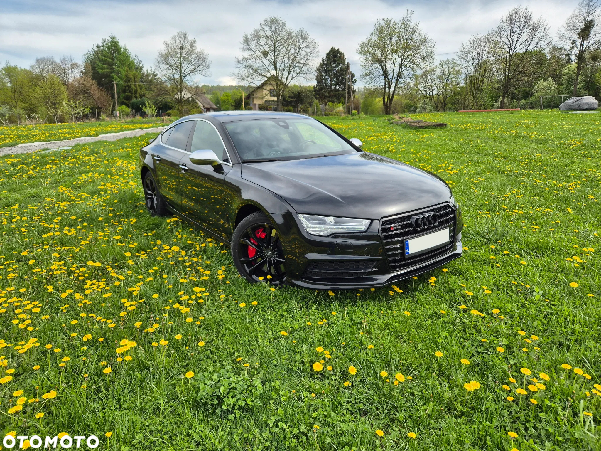 Audi S7 4.0 TFSI Quattro S tronic - 2