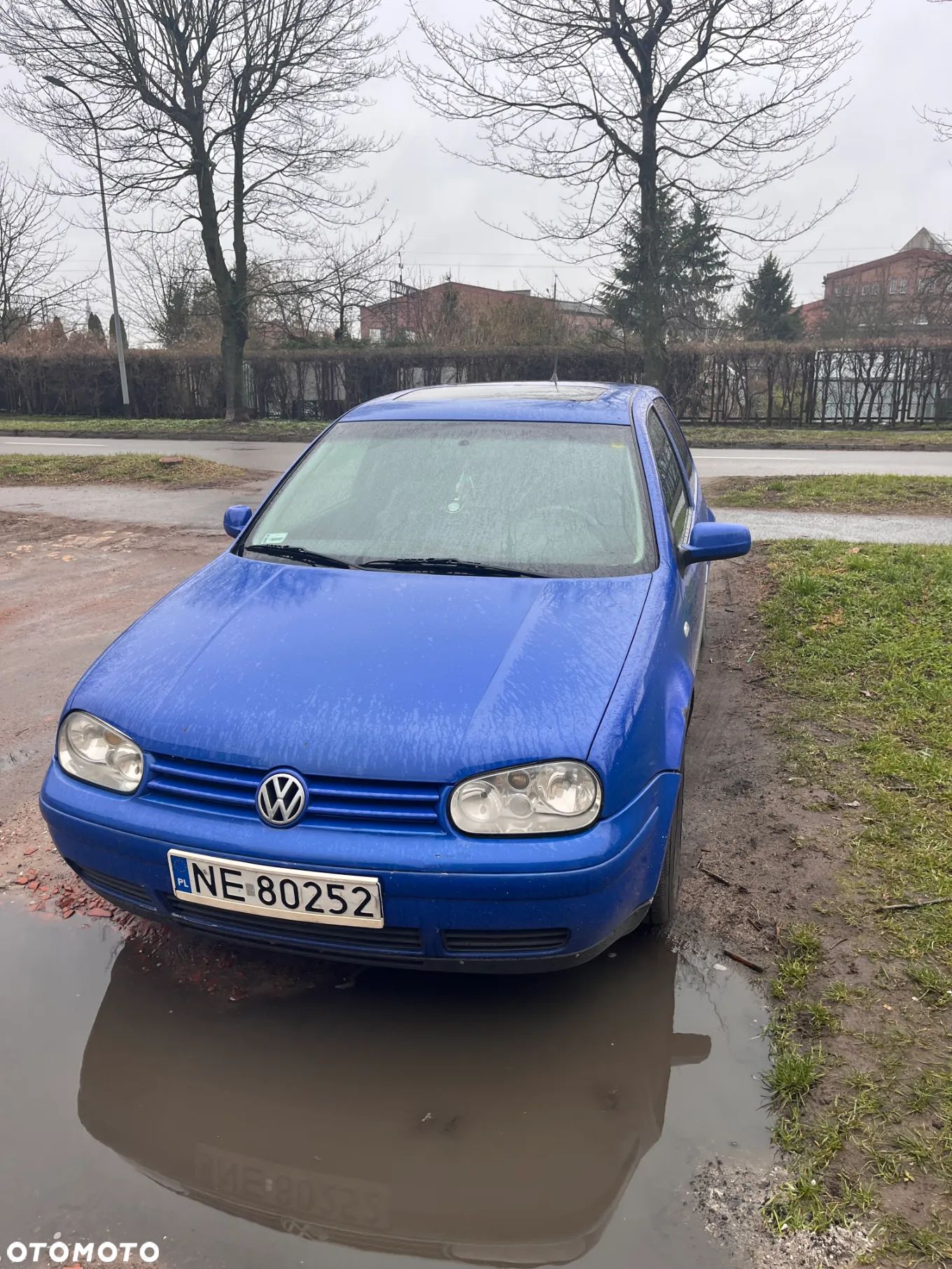 Volkswagen Golf - 1