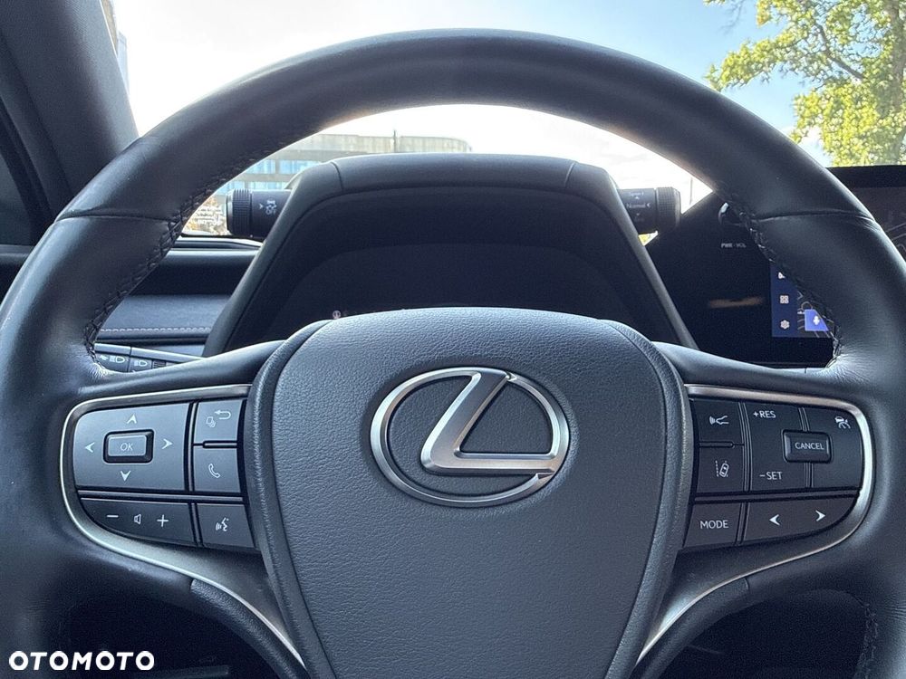 Lexus UX 250h GPF F Sport Design 2WD - 17