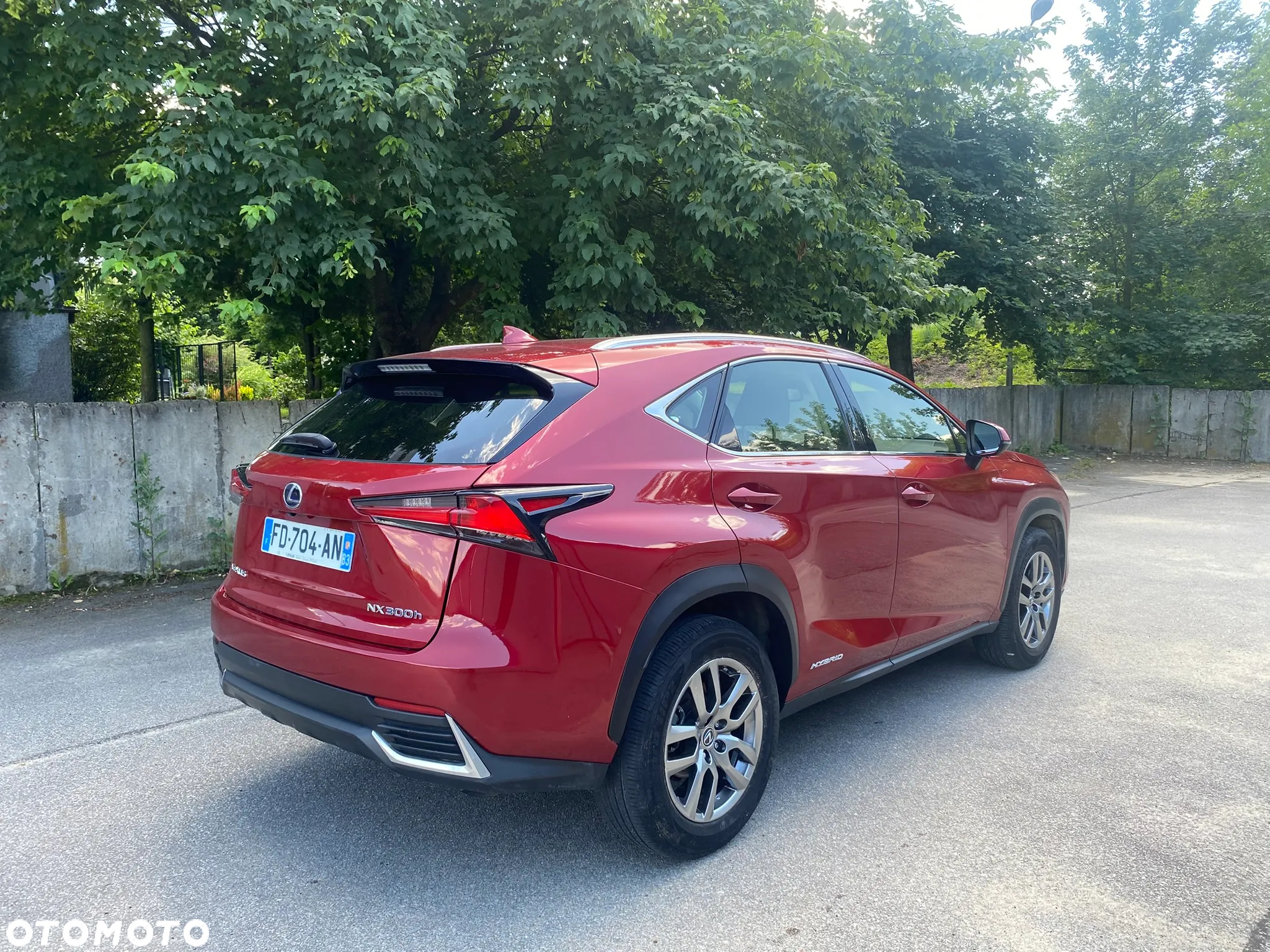 Lexus NX 300h Elegance AWD - 14