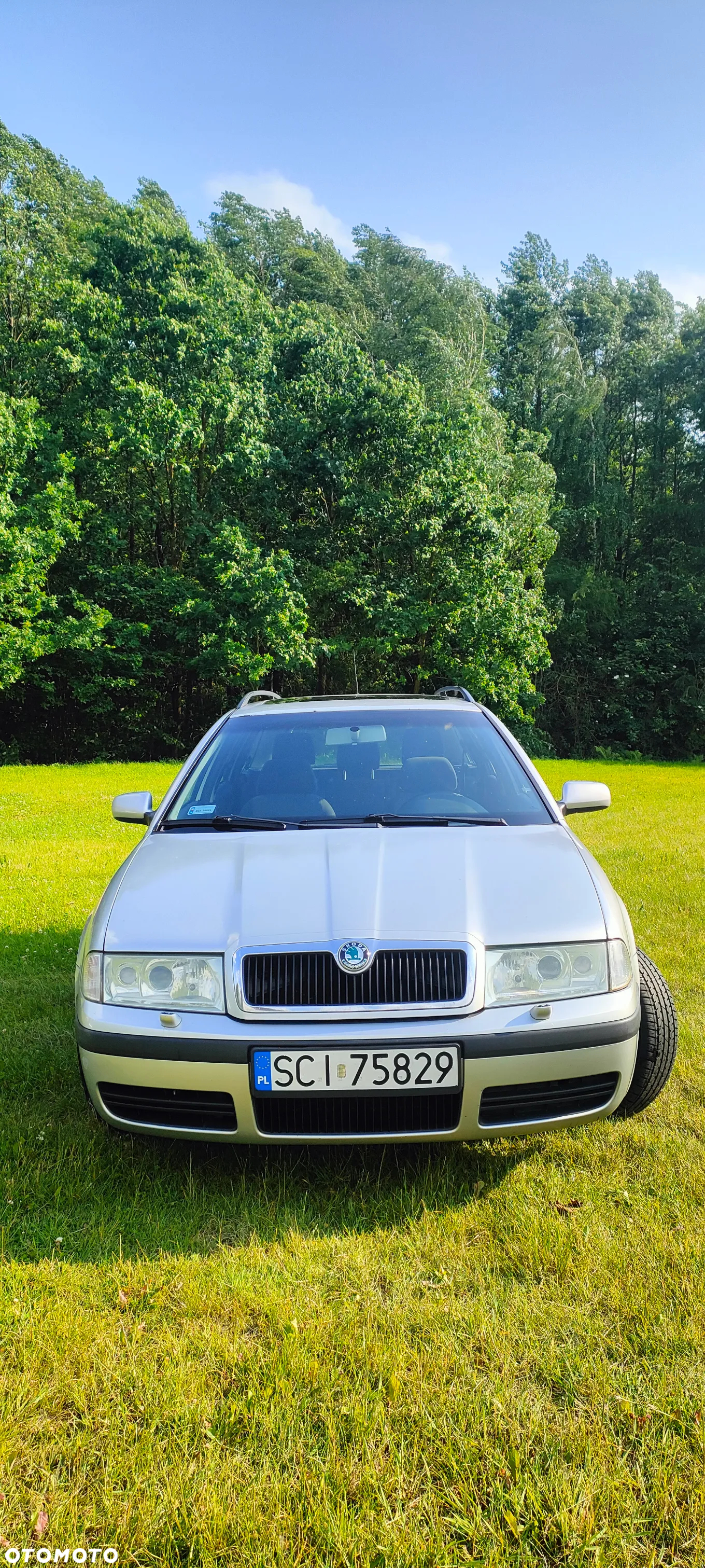 Skoda Octavia - 2