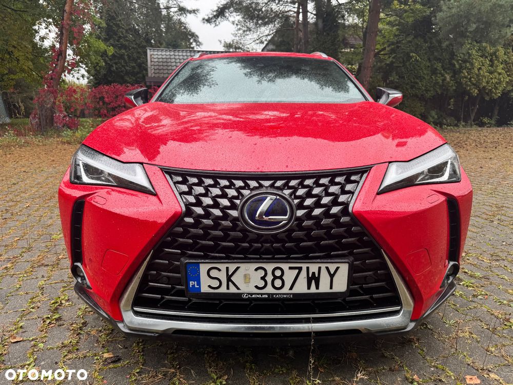 Lexus UX 250h GPF Business Edition 2WD - 28