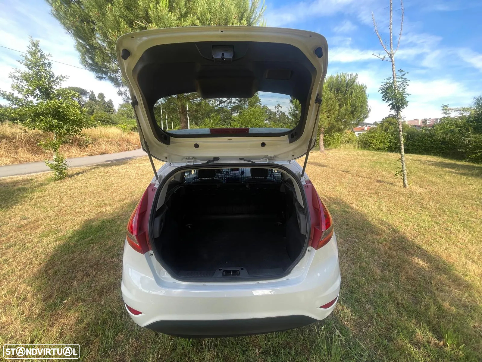 Ford Fiesta - 22