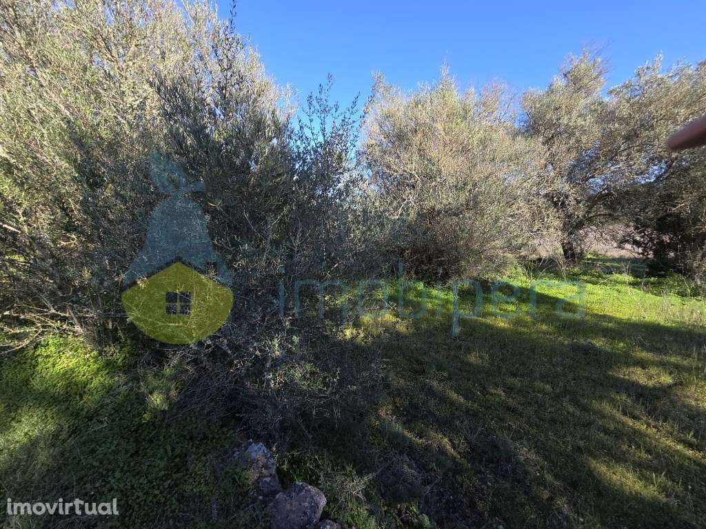 Terreno rústico - Bom acesso - Grande imagem: 3/4