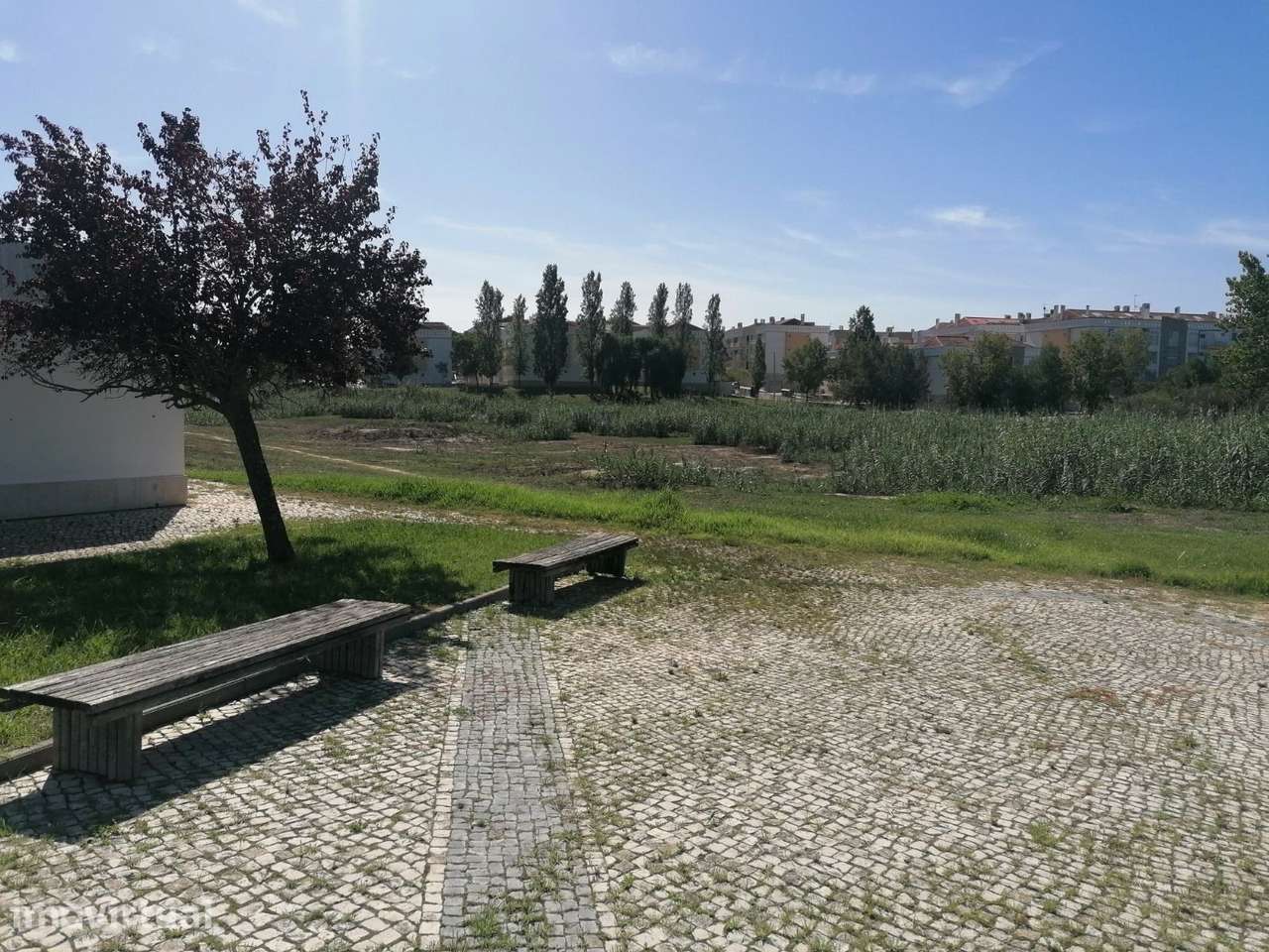 Terreno Rústico Quinta de S. João Palhais - 14370m2 - Grande imagem: 3/6